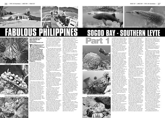 Diving at Sogod Bay